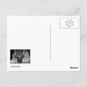 Carte Postale Photo Blue Jay (Dos)