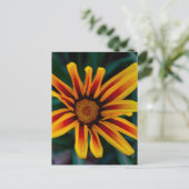 Carte Postale Photo botanique de fleur de trésor ensoleillée (Debout devant)