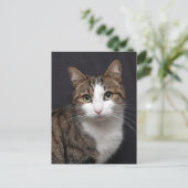 Carte Postale Photo Brown Tablette Personnalisée Chat pour anima (Debout devant)
