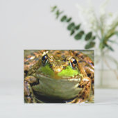Carte Postale Photo Bullfrog (Debout devant)