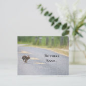 Carte postale photo Bunny (Debout devant)