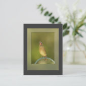 Carte postale Photo Cardinal Femme (Debout devant)