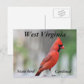 Carte Postale Photo cardinale du nord (Devant / Derrière)