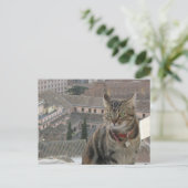 Carte postale Photo Cat (Debout devant)