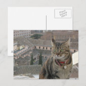 Carte postale Photo Cat (Devant / Derrière)