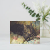 Carte postale photo Cat Fine Art (Debout devant)