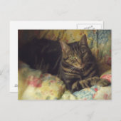 Carte postale photo Cat Fine Art (Devant / Derrière)