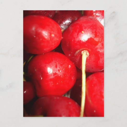 Carte postale Photo Cherries Art (Devant)
