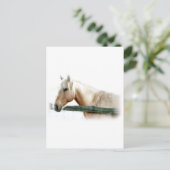 Carte Postale Photo Cheval (Debout devant)