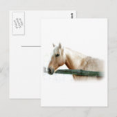Carte Postale Photo Cheval (Devant / Derrière)