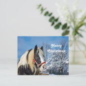 Carte Postale Photo Cheval Paint Neige Noël (Debout devant)
