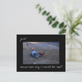 Carte postale photo 'Chicken Secrets' (Debout devant)