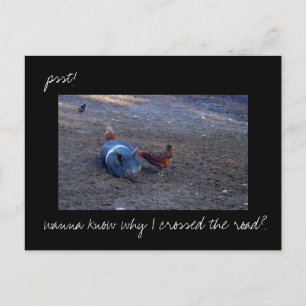 Carte postale photo 'Chicken Secrets'