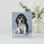 Carte Postale Photo Chien Chien beagle (Debout devant)