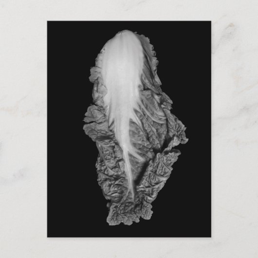 Carte Postale Photo chinoise de portrait de choux (Devant)