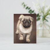Carte Postale Photo Chiot Carlin mignon (Debout devant)