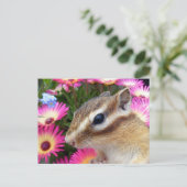 Carte Postale Photo Chipmunk (30-13) (Debout devant)