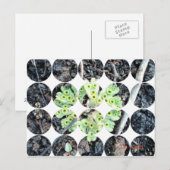 Carte postale photo circulaire (Devant / Derrière)