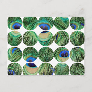 Carte postale photo circulaire