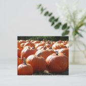 Carte Postale Photo citrouille pour automne, Halloween ou Thanks (Debout devant)
