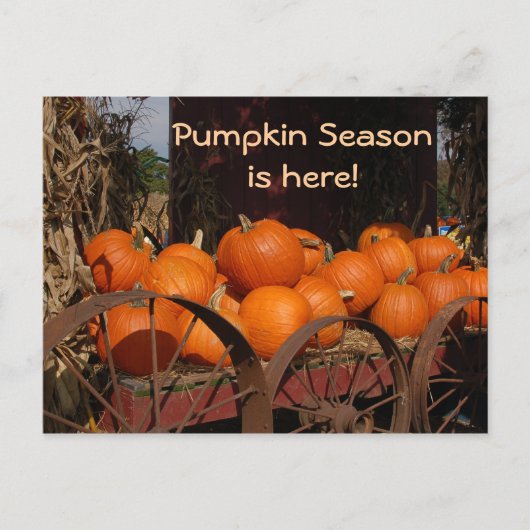 Carte postale photo citrouille Wagon (Devant)