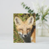 Carte postale photo classique (Debout devant)