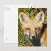 Carte postale photo classique (Devant / Derrière)