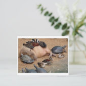 Carte postale photo classique (Debout devant)