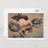 Carte postale photo classique (Devant / Derrière)