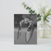 Carte postale photo classique (Debout devant)