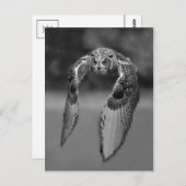 Carte postale photo classique (Devant / Derrière)