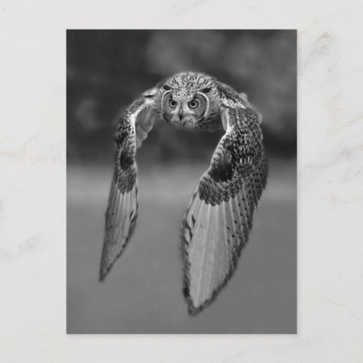 Carte postale photo classique (Devant)