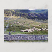 Carte postale photo classique (Devant)