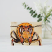 Carte postale photo classique (Debout devant)