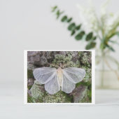 Carte postale photo classique (Debout devant)