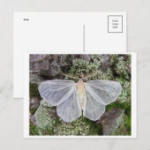 Carte postale photo classique (Devant / Derrière)