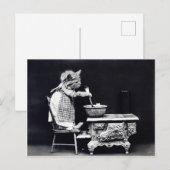 Carte Postale Photo cuisine chaton vintage (Devant / Derrière)