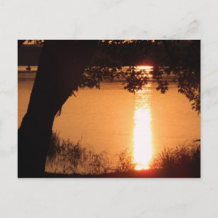Carte postale photo - Customisée
