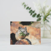 Carte postale photo Cute Mouse Mating Greens (Debout devant)