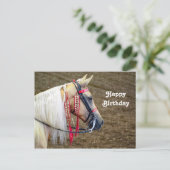 Carte Postale Photo d'anniversaire de beau cheval Palomino (Debout devant)