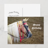 Carte Postale Photo d'anniversaire de beau cheval Palomino (Devant / Derrière)