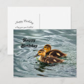 Carte Postale Photo d'anniversaire de canetons de canard colvert (Devant / Derrière)