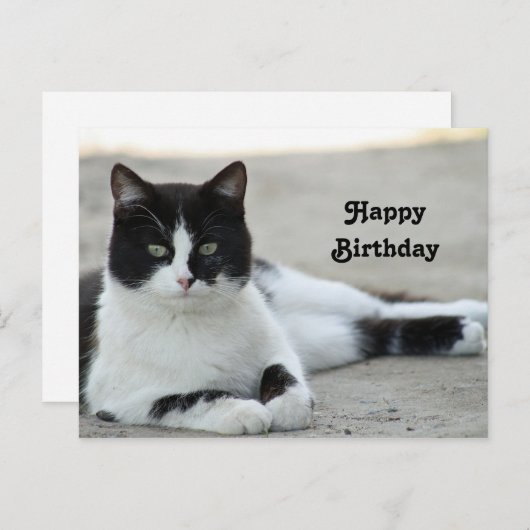 Carte Postale Photo d'anniversaire de chat noir et blanc en smok (Devant / Derrière)