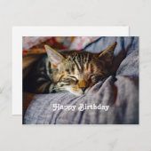 Carte Postale Photo d'anniversaire de chat tabby mignon endormi (Devant / Derrière)
