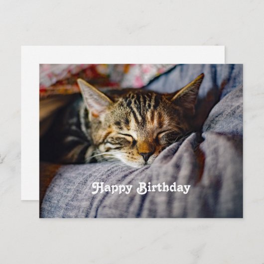 Carte Postale Photo d'anniversaire de chat tabby mignon endormi (Devant / Derrière)