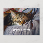 Carte Postale Photo d'anniversaire de chat tabby mignon endormi (Devant)