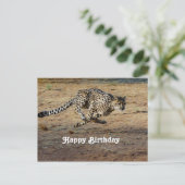 Carte Postale Photo d'anniversaire de guépard faune (Debout devant)