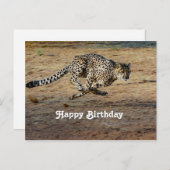 Carte Postale Photo d'anniversaire de guépard faune (Devant / Derrière)