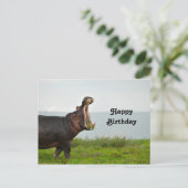 Carte Postale Photo d'anniversaire de la faune Hippopotame (Debout devant)