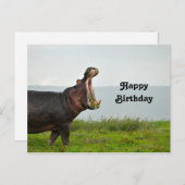 Carte Postale Photo d'anniversaire de la faune Hippopotame (Devant / Derrière)